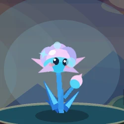 海露花
